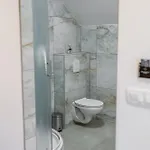 Ribnik Stari Trg Lesicno