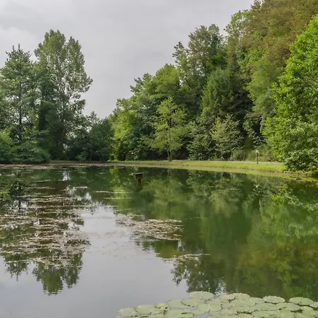 Ribnik Stari Trg * Lesicno