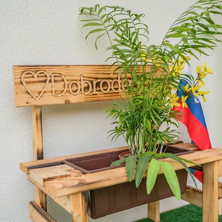 Ribnik Stari Trg Apartma *