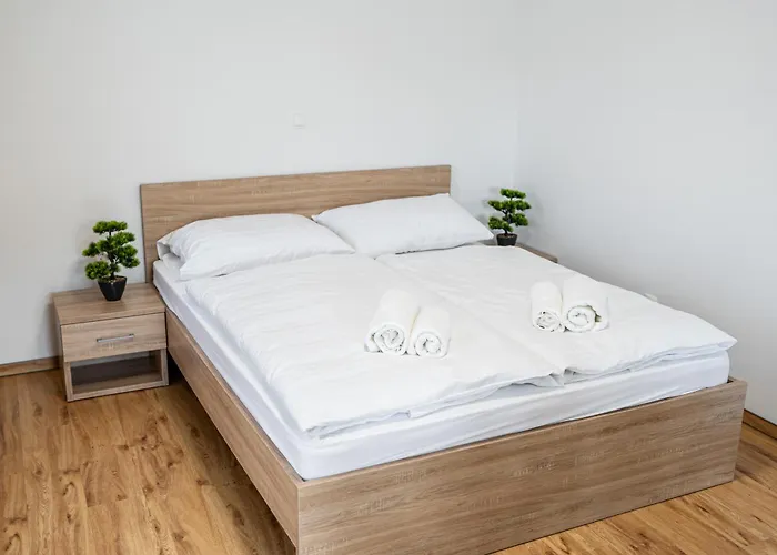 Ribnik Stari Trg * Lesično